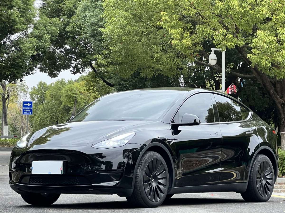 特斯拉 Model 3  2023款 后輪驅(qū)動版圖片