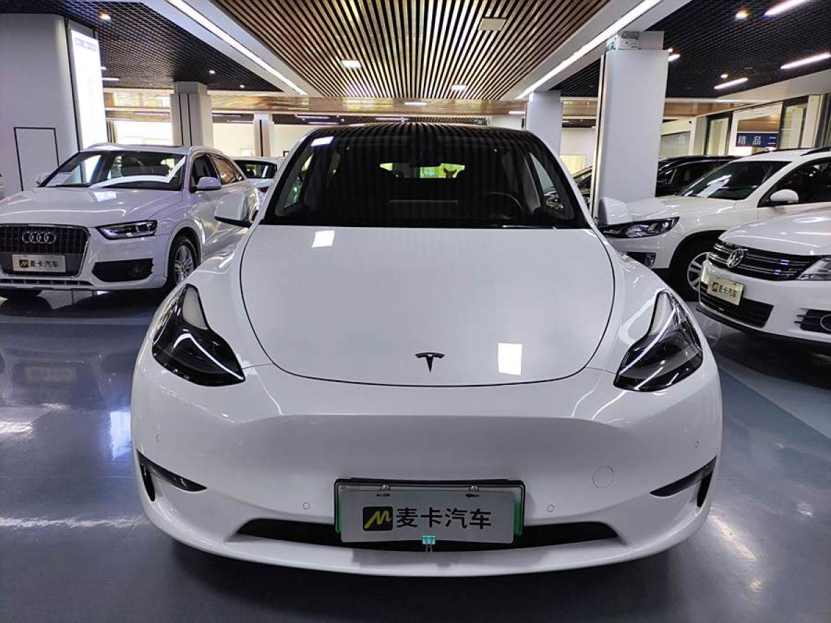 特斯拉 Model Y  2021款 長(zhǎng)續(xù)航全輪驅(qū)動(dòng)版 3D7圖片