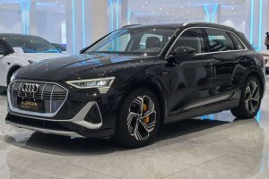 奧迪e-tron 奧迪 50 quattro 臻選型