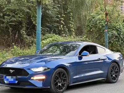 2019年7月 福特 Mustang(進(jìn)口) 2.3L EcoBoost圖片