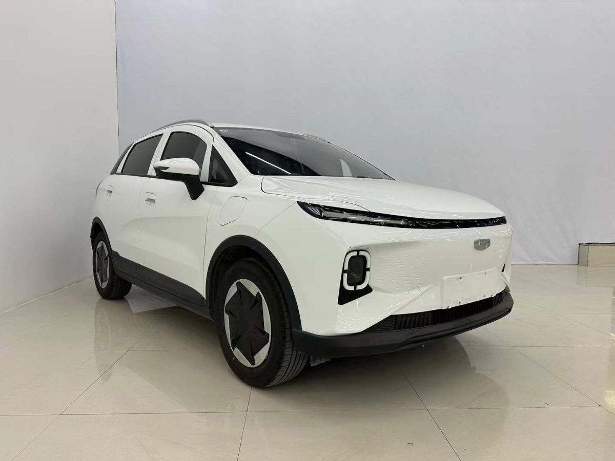 幾何 幾何A  2024款 410KM 公務(wù)版圖片