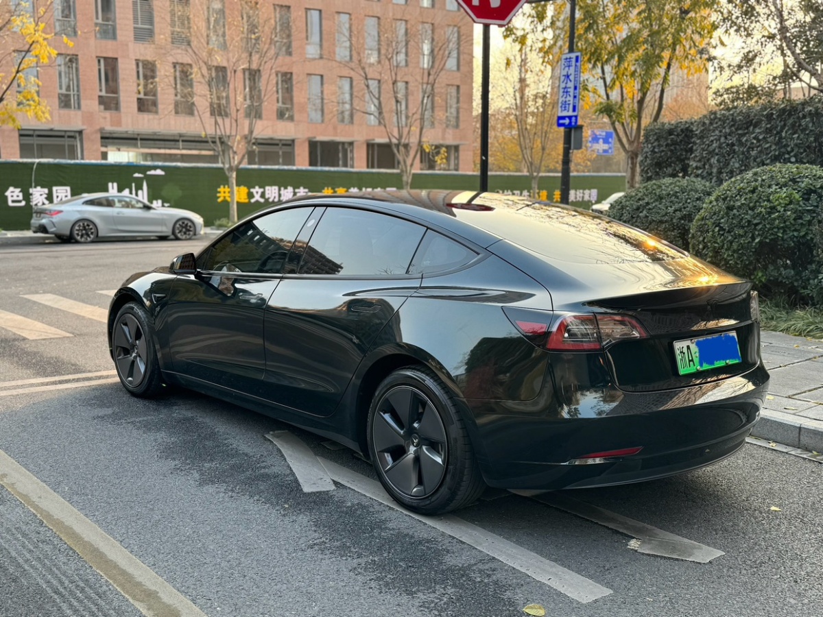 特斯拉 Model 3  2021款 標準續(xù)航后驅升級版 3D6圖片