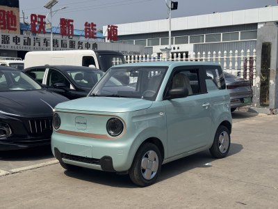 2025年5月 吉利 熊貓mini 200km 耐力熊圖片