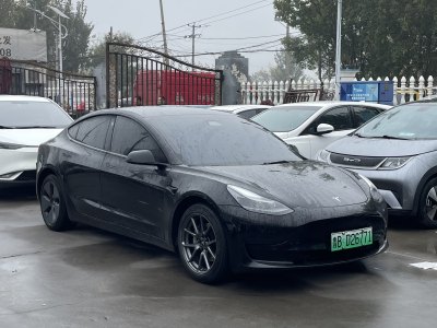 2021年3月 特斯拉 Model Y 标准续航后驱升级版 3D6图片