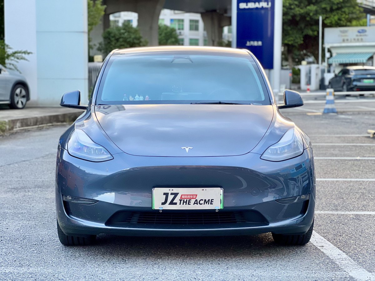 2024年1月特斯拉 Model Y  2021款 改款 Performance高性能全輪驅動版