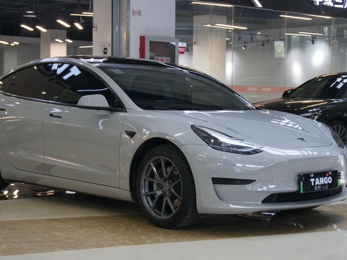 2023年1月特斯拉 Model 3  2022款 后輪驅(qū)動(dòng)版