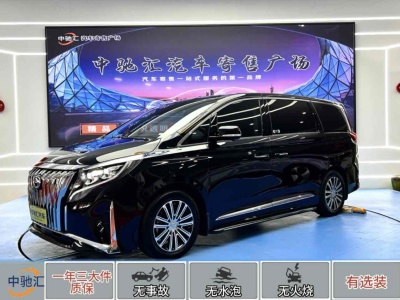 2022年6月 广汽传祺 M8 领秀系列 390T 尊贵福祉版图片