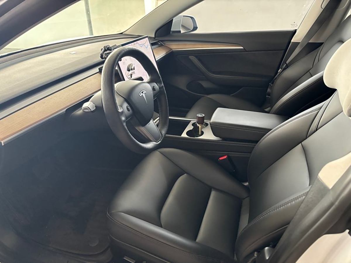 特斯拉 Model 3  2019款 標(biāo)準(zhǔn)續(xù)航后驅(qū)升級(jí)版圖片