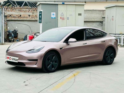 2021年6月 特斯拉 Model 3 標(biāo)準(zhǔn)續(xù)航后驅(qū)升級版圖片