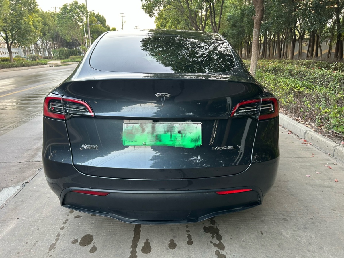 特斯拉 Model Y  2022款 后輪驅(qū)動版圖片