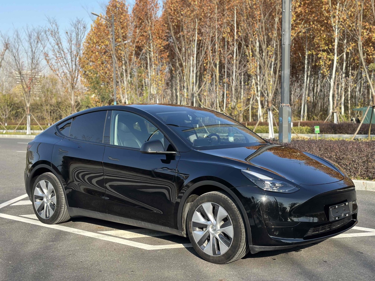 特斯拉 Model 3  2020款 改款 長續(xù)航后輪驅(qū)動版圖片