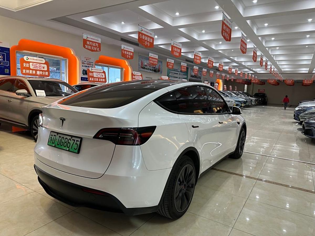 特斯拉 Model 3  2020款 改款 長續(xù)航后輪驅(qū)動版圖片