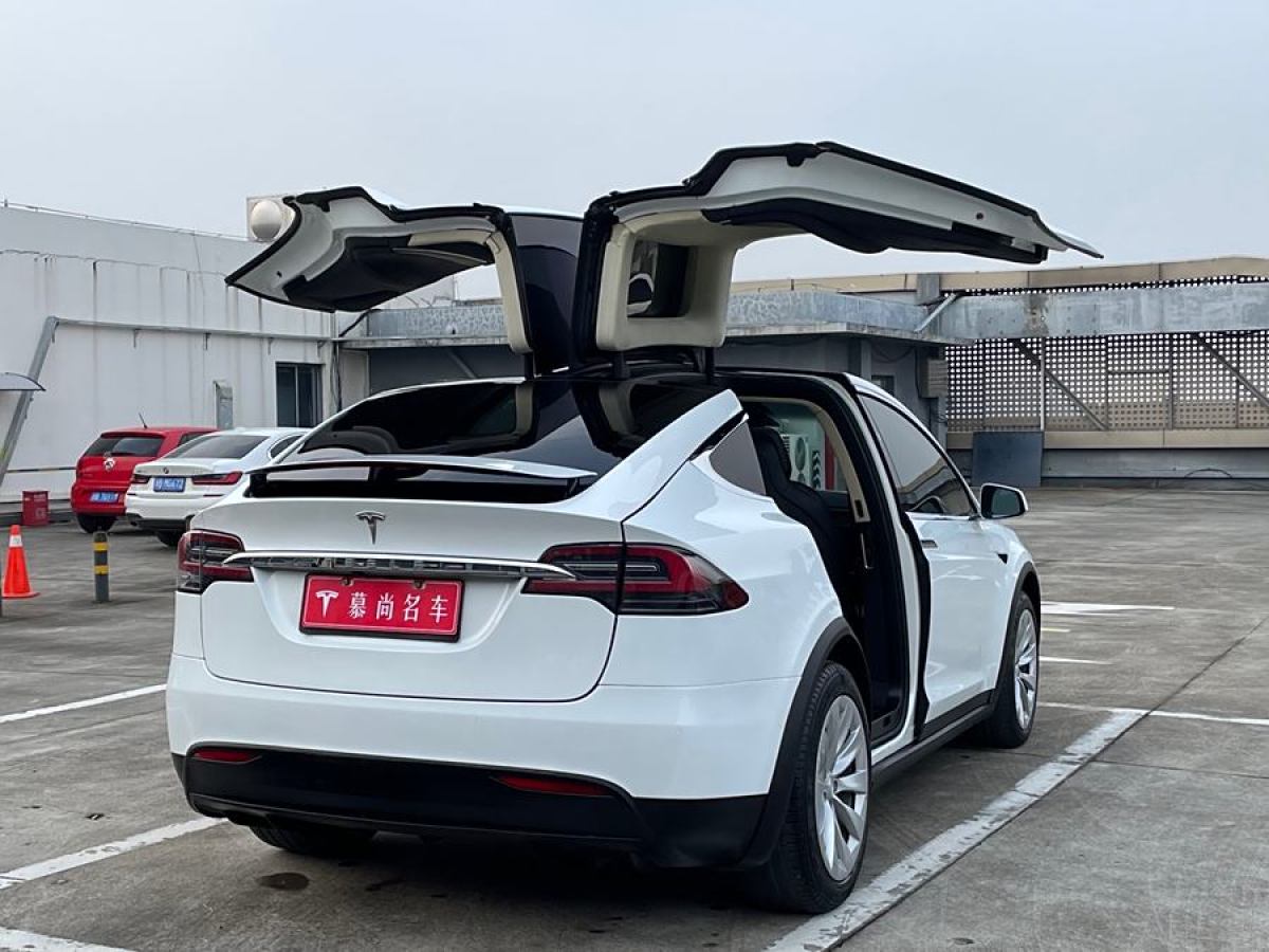 特斯拉 Model X  2017款 Model X 100D 長續(xù)航版圖片