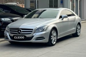 奔馳CLS級(jí) 奔馳 CLS 300 CGI