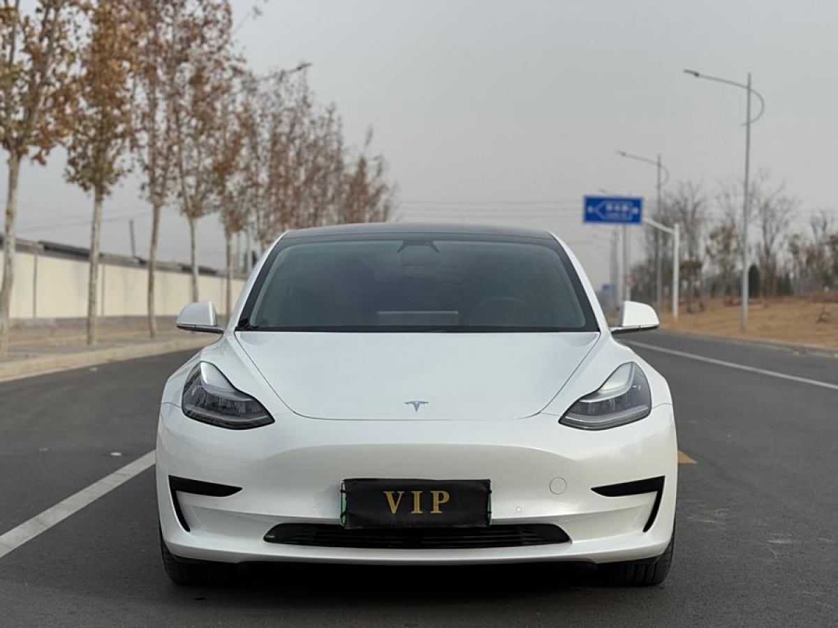 特斯拉 Model 3  2020款 改款 標準續(xù)航后驅升級版圖片