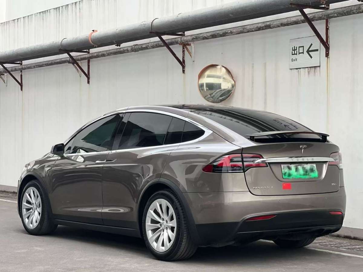 特斯拉 Model X  2016款 Model X 75D圖片