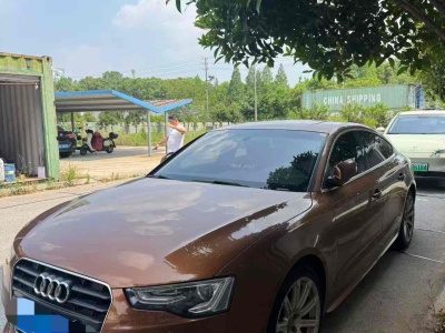 2014年11月 奧迪 奧迪A5(進(jìn)口) Sportback 45 TFSI風(fēng)尚版圖片