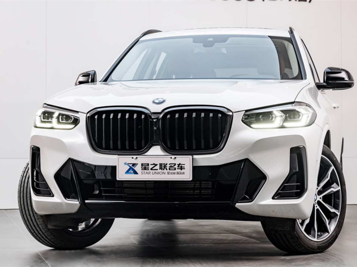 寶馬 寶馬X3  2022款 xDrive30i 領(lǐng)先型 M曜夜套裝圖片