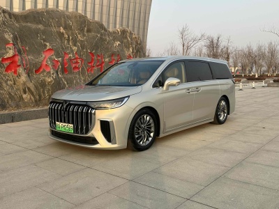 2024年1月 嵐圖 夢想家 PHEV 超長續(xù)航旗艦版圖片