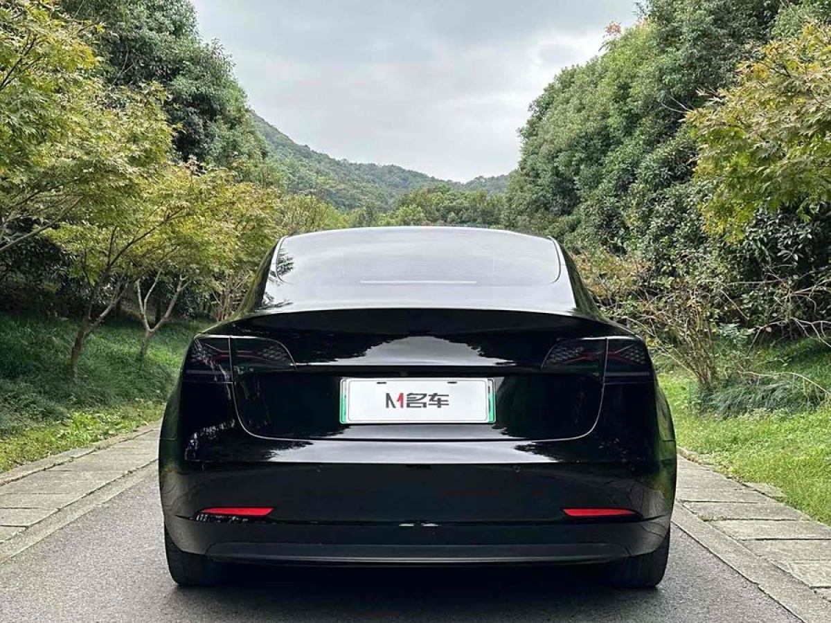 特斯拉 Model 3  2022款 Performance高性能全輪驅(qū)動(dòng)版圖片