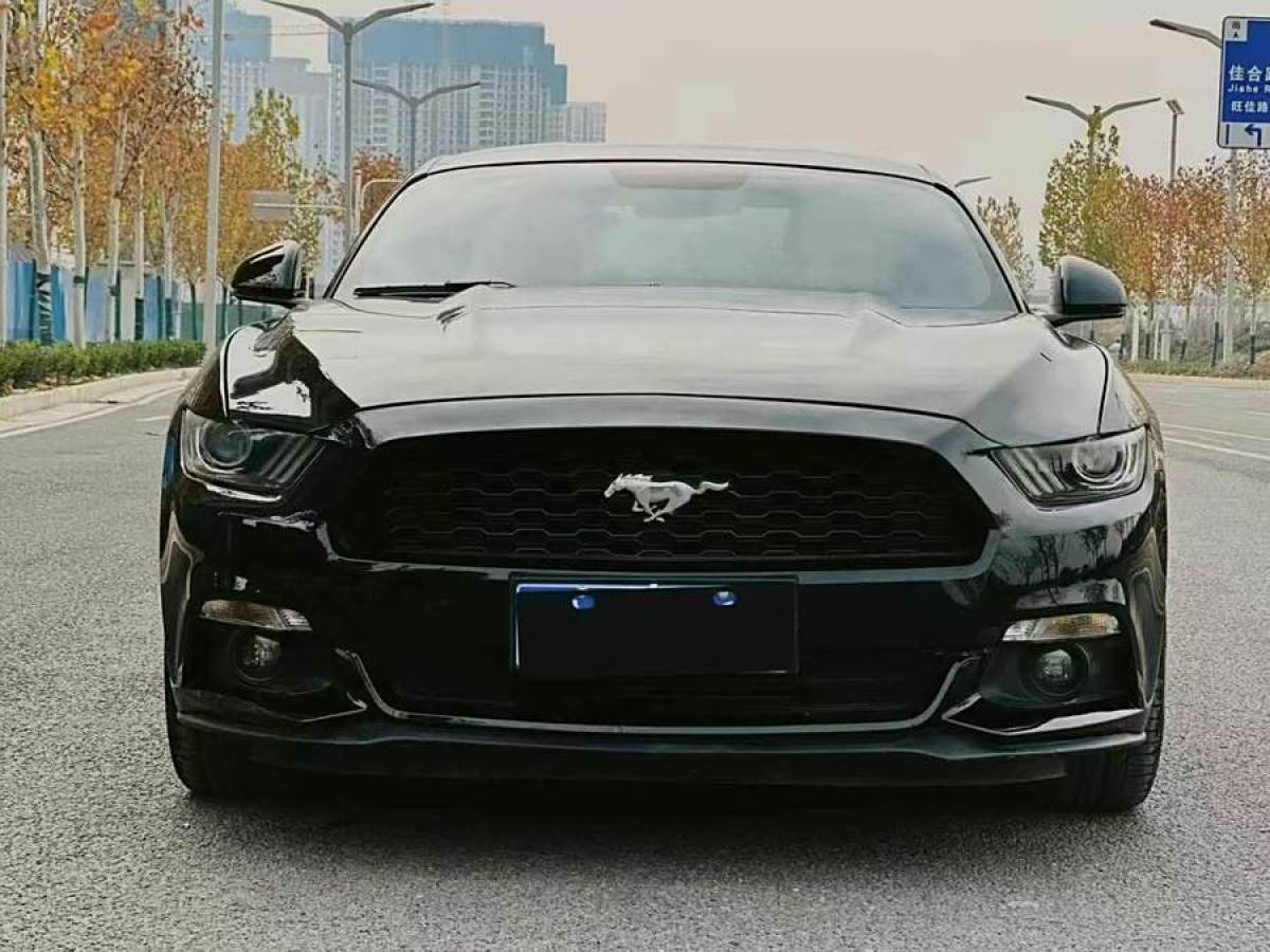 福特 Mustang  2015款 2.3T 性能版圖片