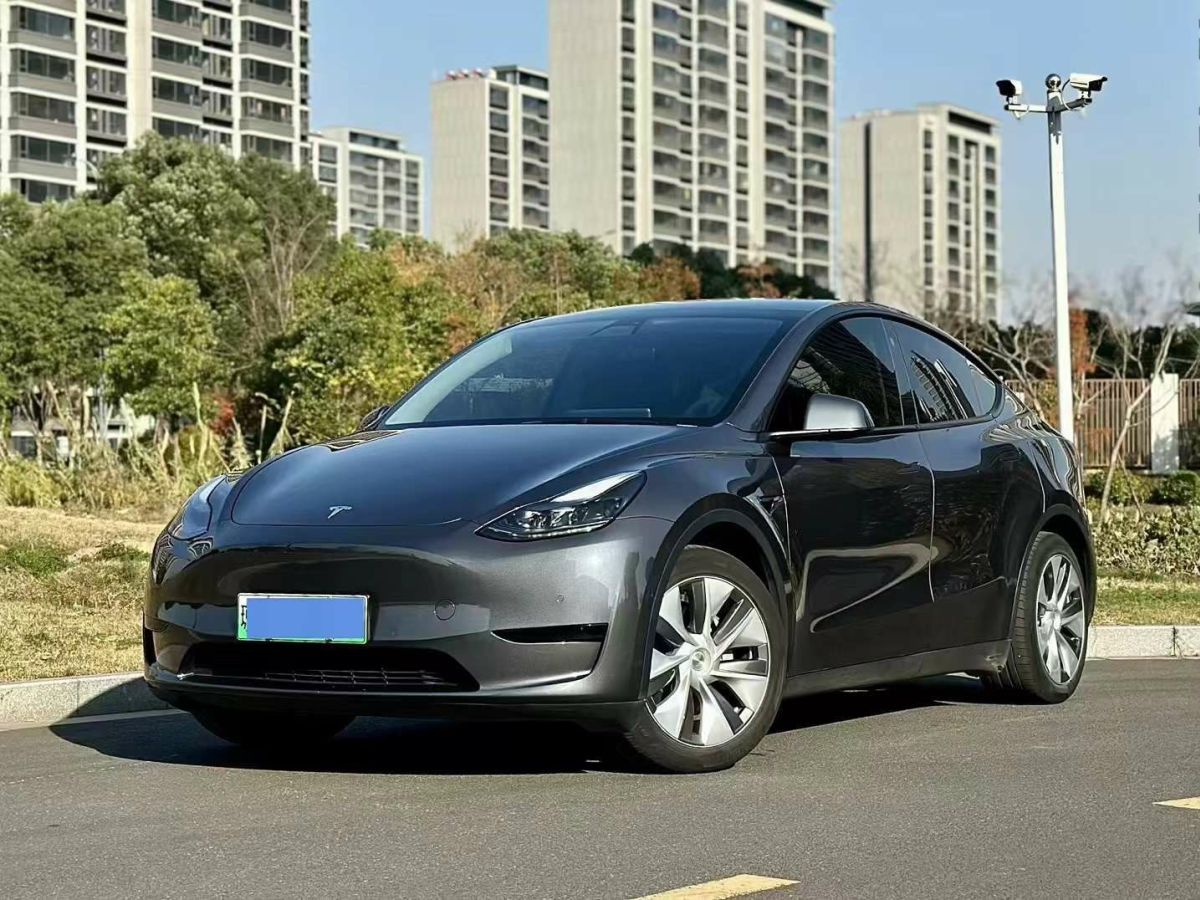 特斯拉 Model 3  2022款 Performance高性能全輪驅(qū)動版圖片