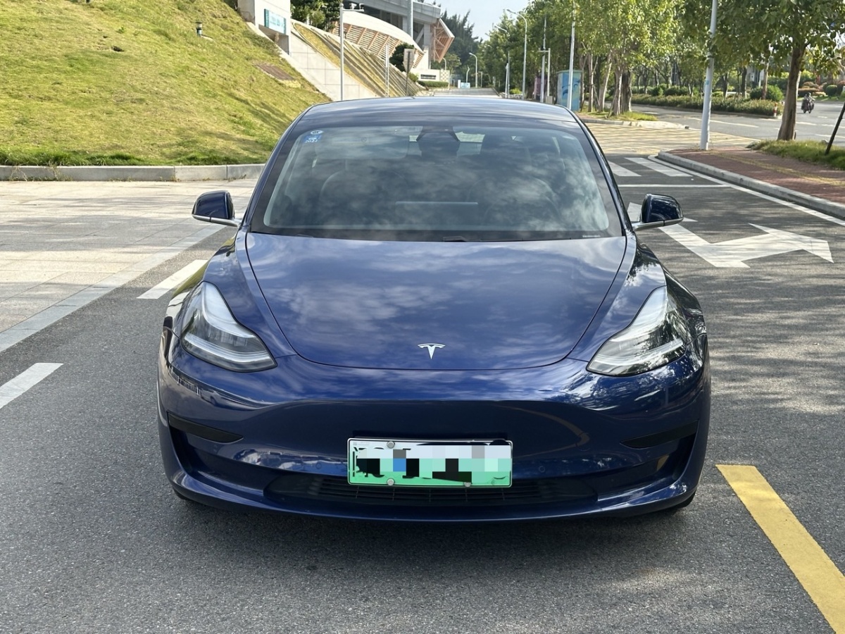 特斯拉 Model 3  2019款 標(biāo)準(zhǔn)續(xù)航后驅(qū)升級版圖片