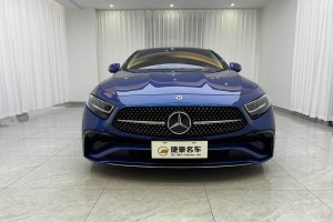 奔馳CLS級 奔馳 CLS 300 動感型