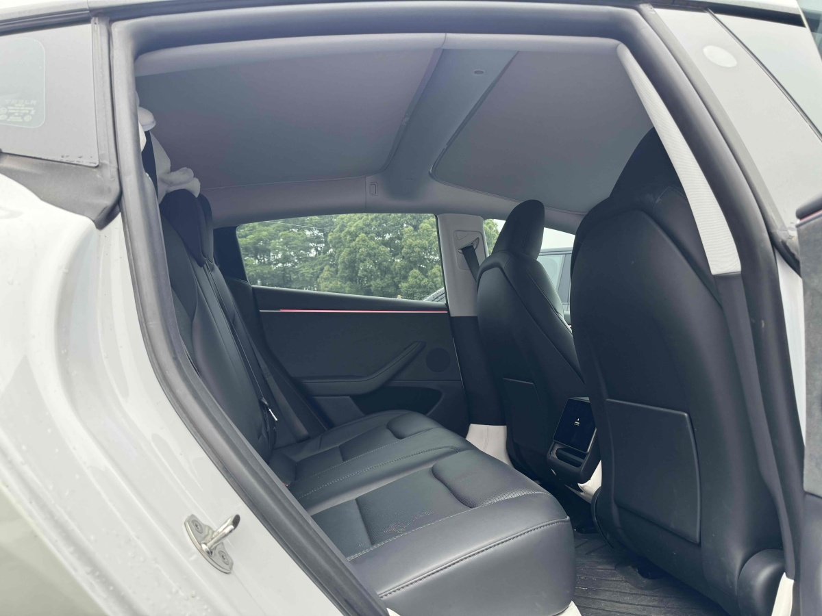 2024年1月特斯拉 Model 3  2019款 長續(xù)航全輪驅(qū)動版
