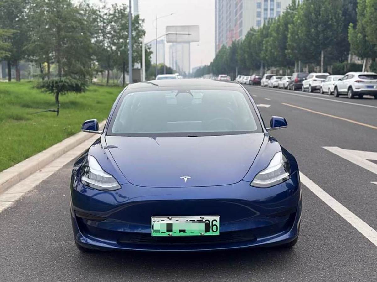 特斯拉 Model 3  2019款 標(biāo)準(zhǔn)續(xù)航后驅(qū)升級(jí)版圖片