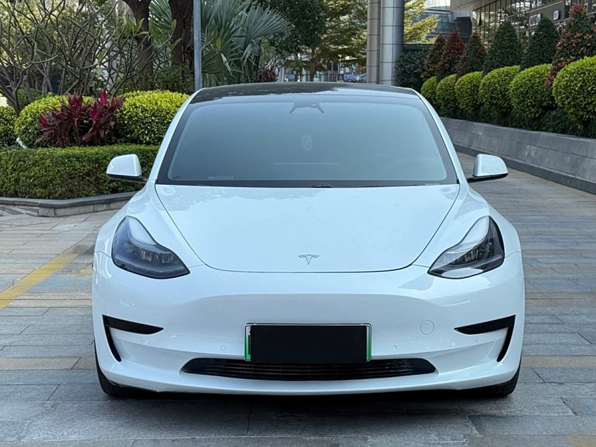 特斯拉 Model 3  2020款 改款 標(biāo)準(zhǔn)續(xù)航后驅(qū)升級版圖片