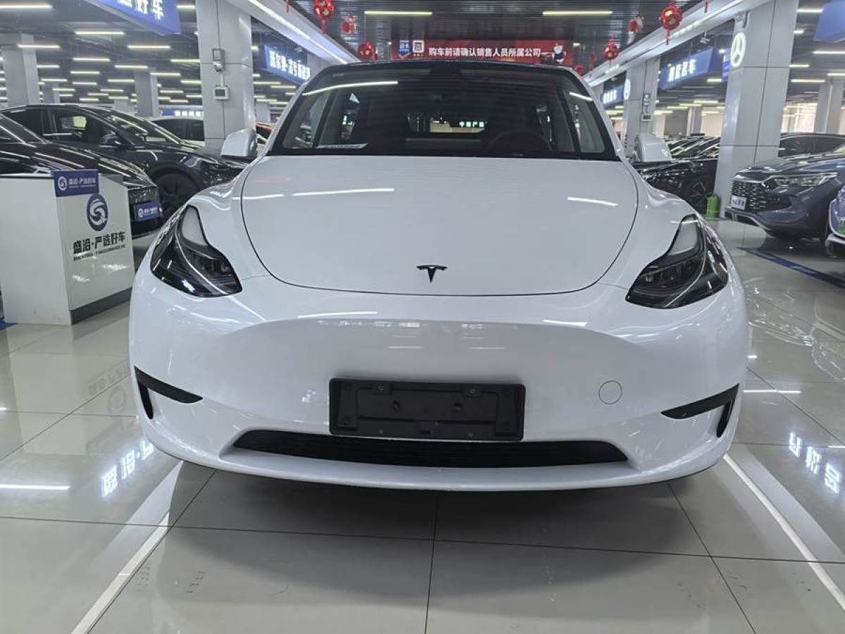 特斯拉 Model 3  2020款 改款 長續(xù)航后輪驅(qū)動版圖片