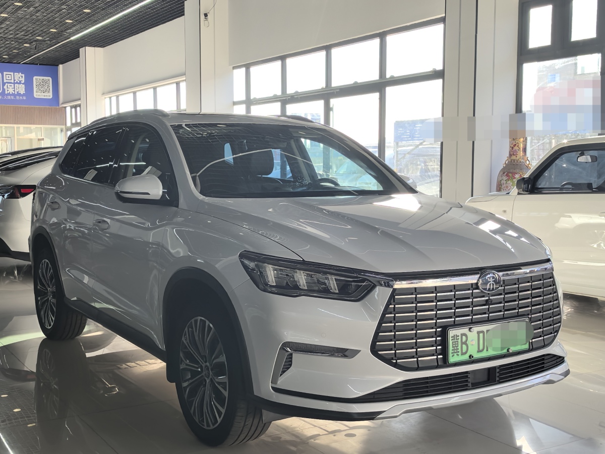 比亞迪 宋Pro新能源  2019款 EV 高功率版尊貴型圖片