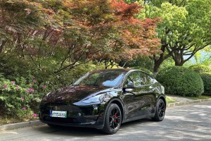 Model Y 特斯拉 標準續(xù)航后驅(qū)版