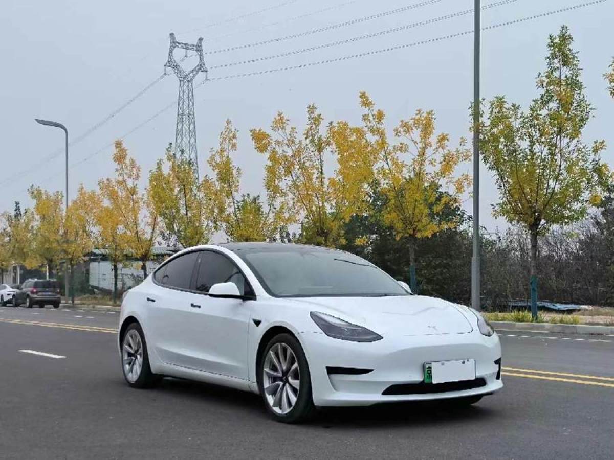 特斯拉 Model 3  2019款 標準續(xù)航后驅升級版圖片