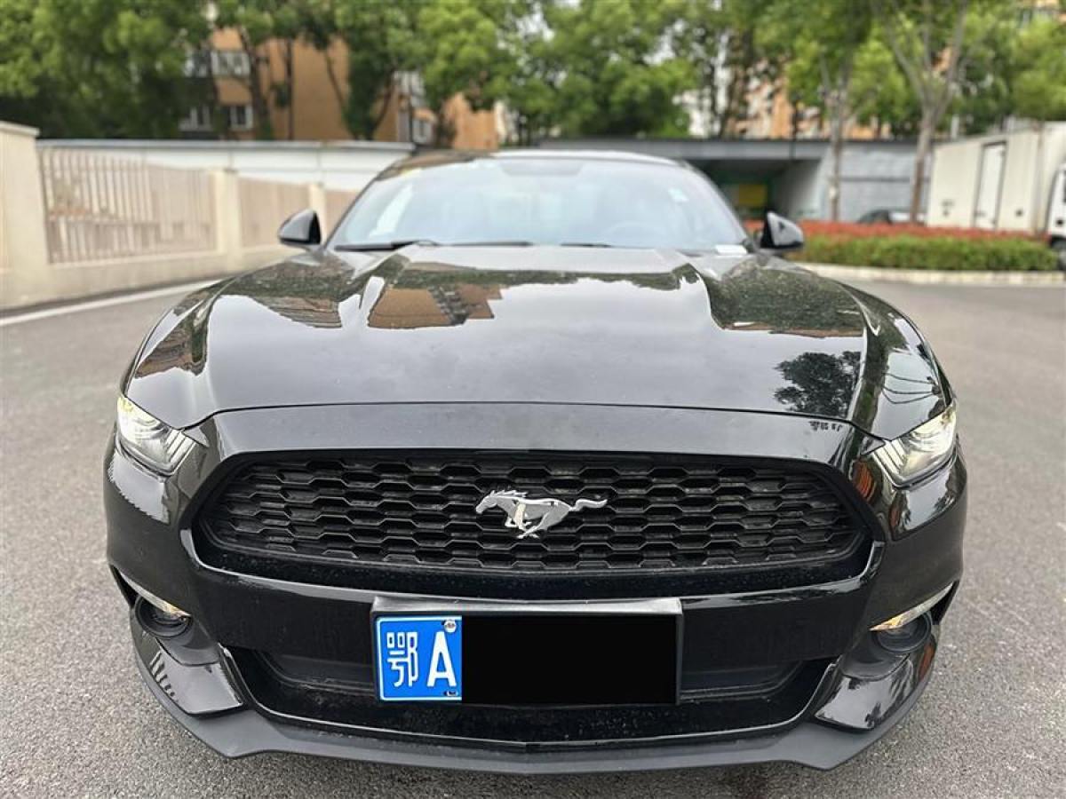 福特 Mustang  2015款 2.3T 性能版圖片