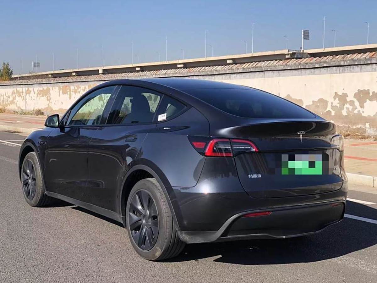 特斯拉 Model 3  2020款 改款 長續(xù)航后輪驅(qū)動版圖片