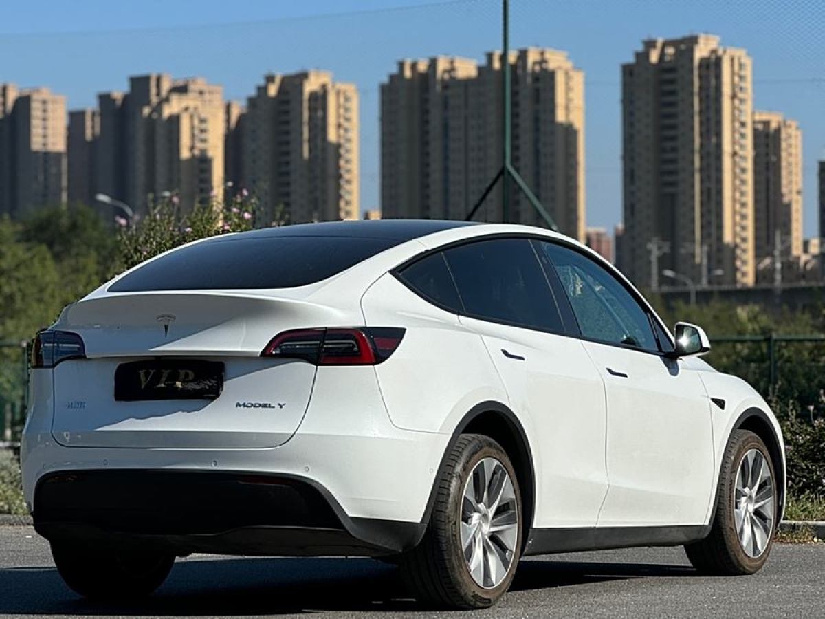 2021年6月特斯拉 Model 3  2021款 改款 長續(xù)航全輪驅(qū)動版