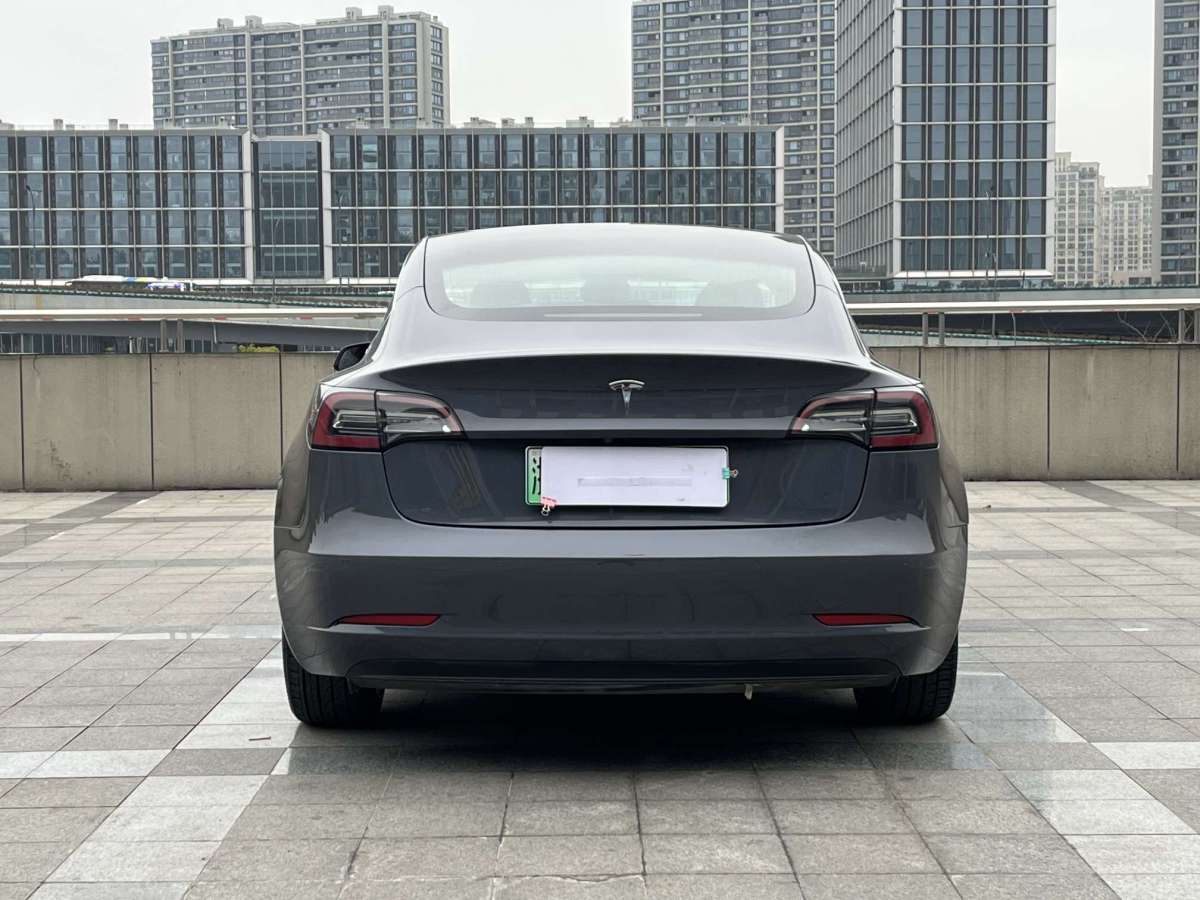 2020年1月特斯拉 Model 3  2019款 標(biāo)準(zhǔn)續(xù)航后驅(qū)升級(jí)版