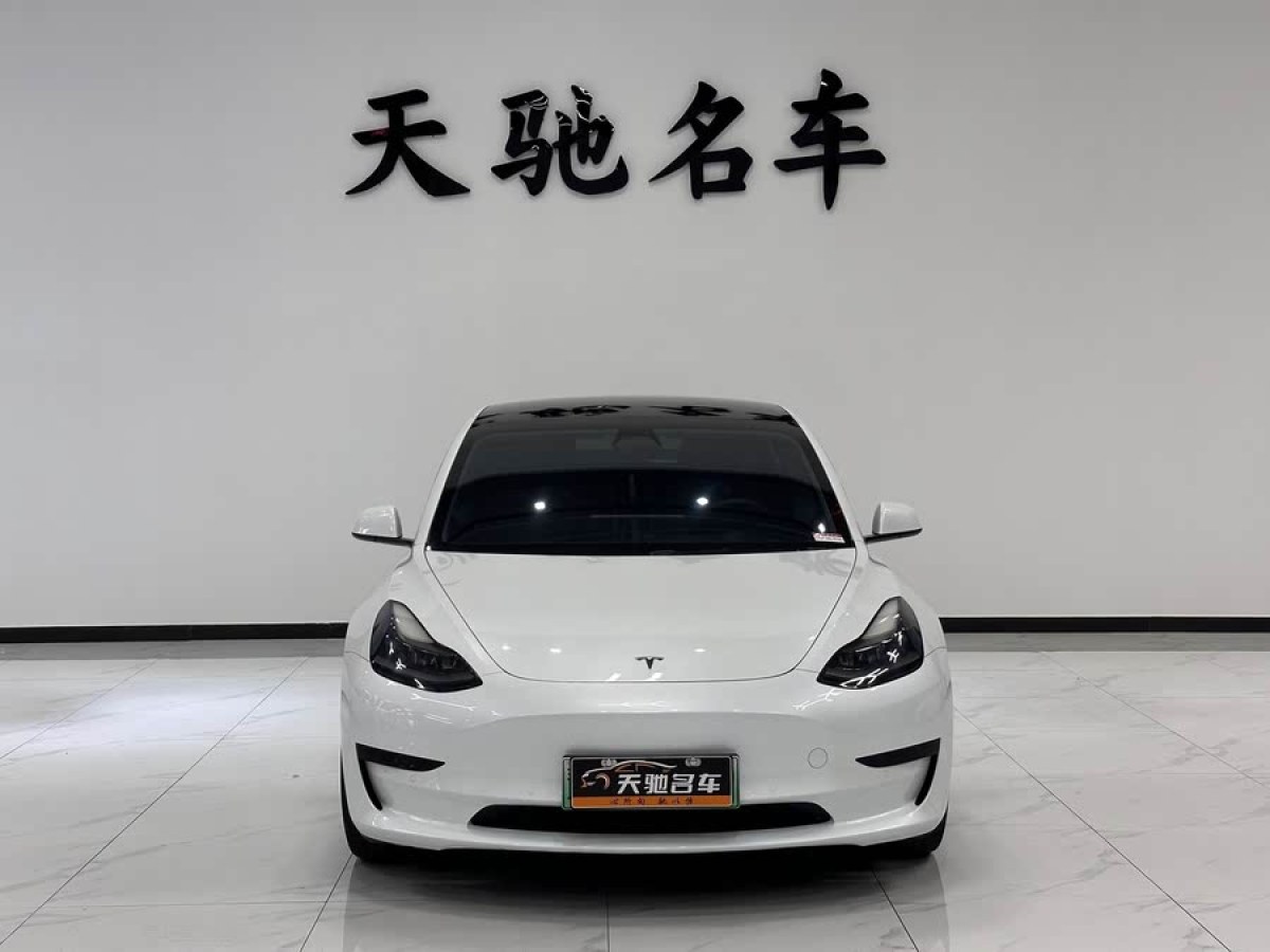 特斯拉 Model 3  2021款 改款 標(biāo)準(zhǔn)續(xù)航后驅(qū)升級(jí)版圖片