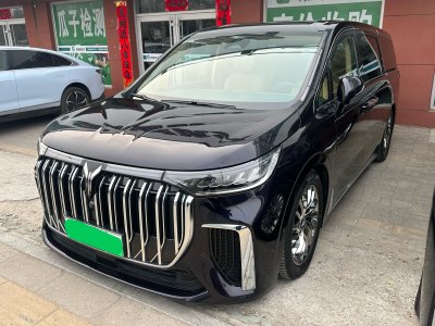 2023年10月 嵐圖 夢(mèng)想家 PHEV 超長(zhǎng)續(xù)航旗艦版圖片