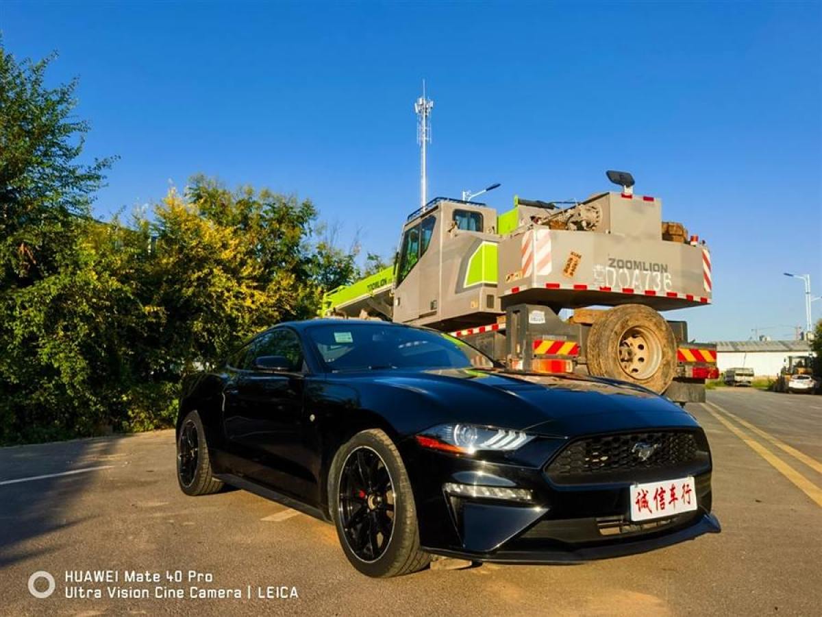 福特 Mustang  2019款 2.3L EcoBoost圖片