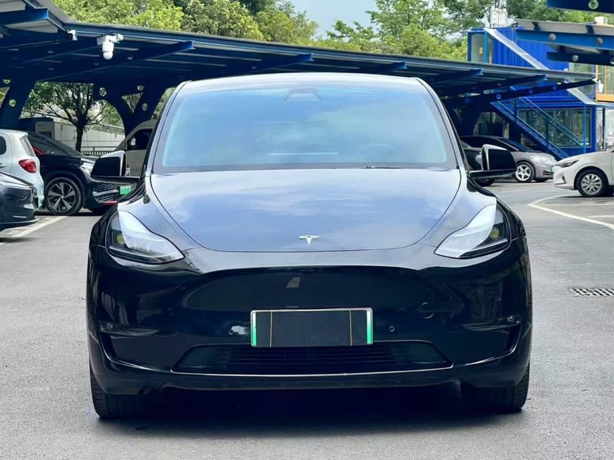 特斯拉 Model Y  2021款 標準續(xù)航后驅(qū)版圖片