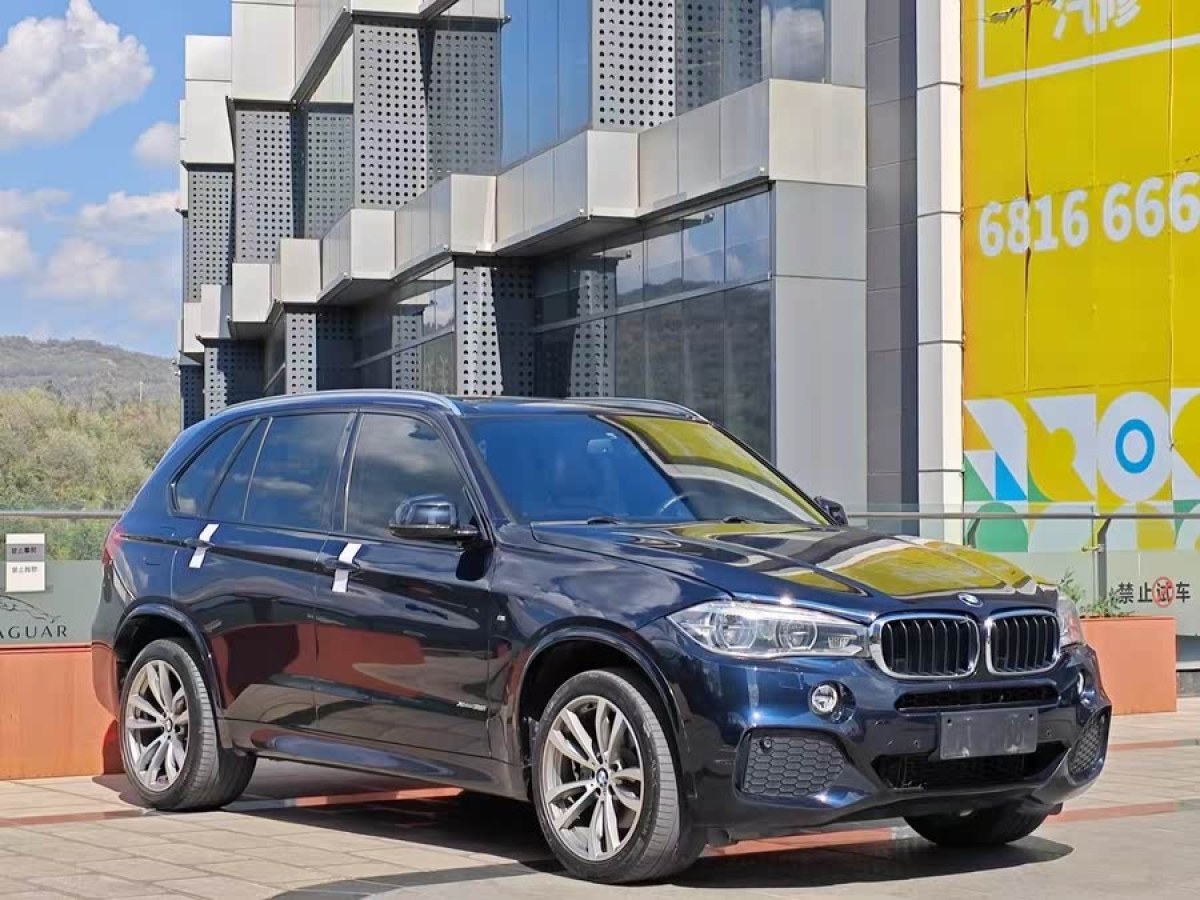 寶馬 寶馬X5  2018款 xDrive35i M運(yùn)動豪華型圖片