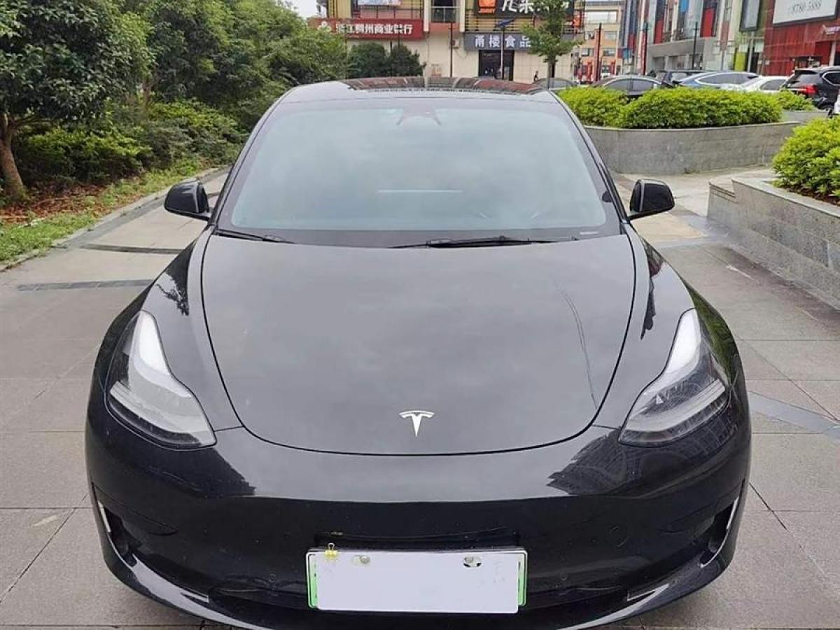 2021年12月特斯拉 Model 3  2019款 標(biāo)準(zhǔn)續(xù)航后驅(qū)升級(jí)版