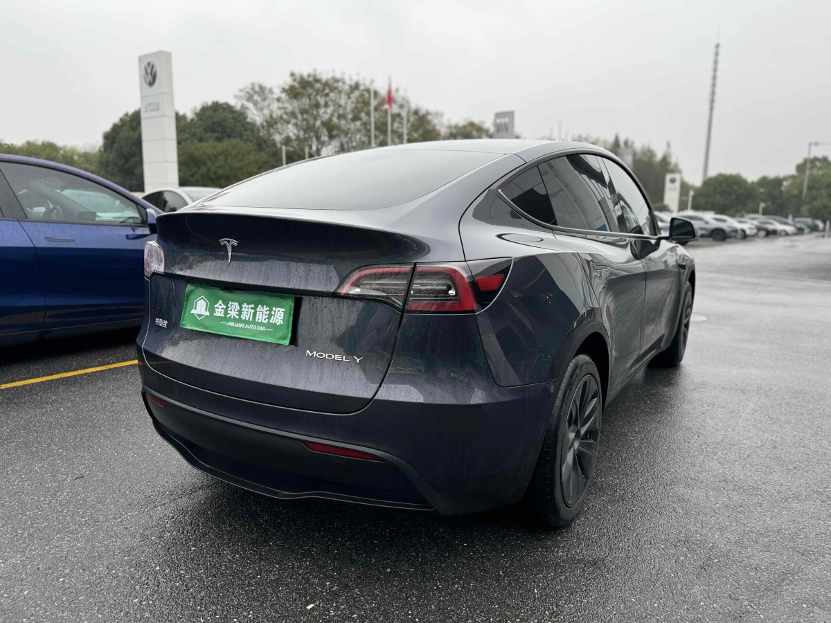 特斯拉 Model Y  2020款 改款 長(zhǎng)續(xù)航后輪驅(qū)動(dòng)版圖片