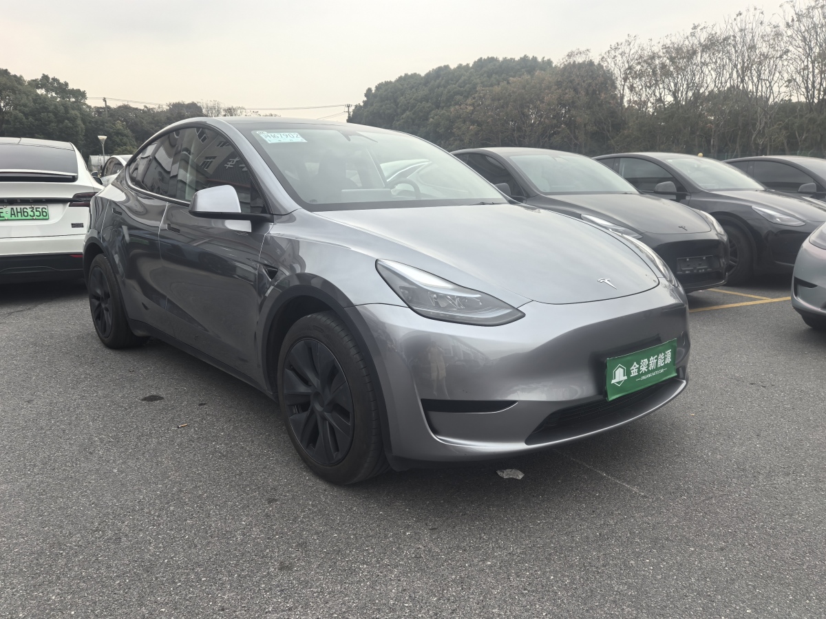 特斯拉 Model 3  2020款 改款 長(zhǎng)續(xù)航后輪驅(qū)動(dòng)版圖片