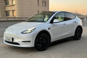 Model Y 特斯拉 改款 长续航全轮驱动版