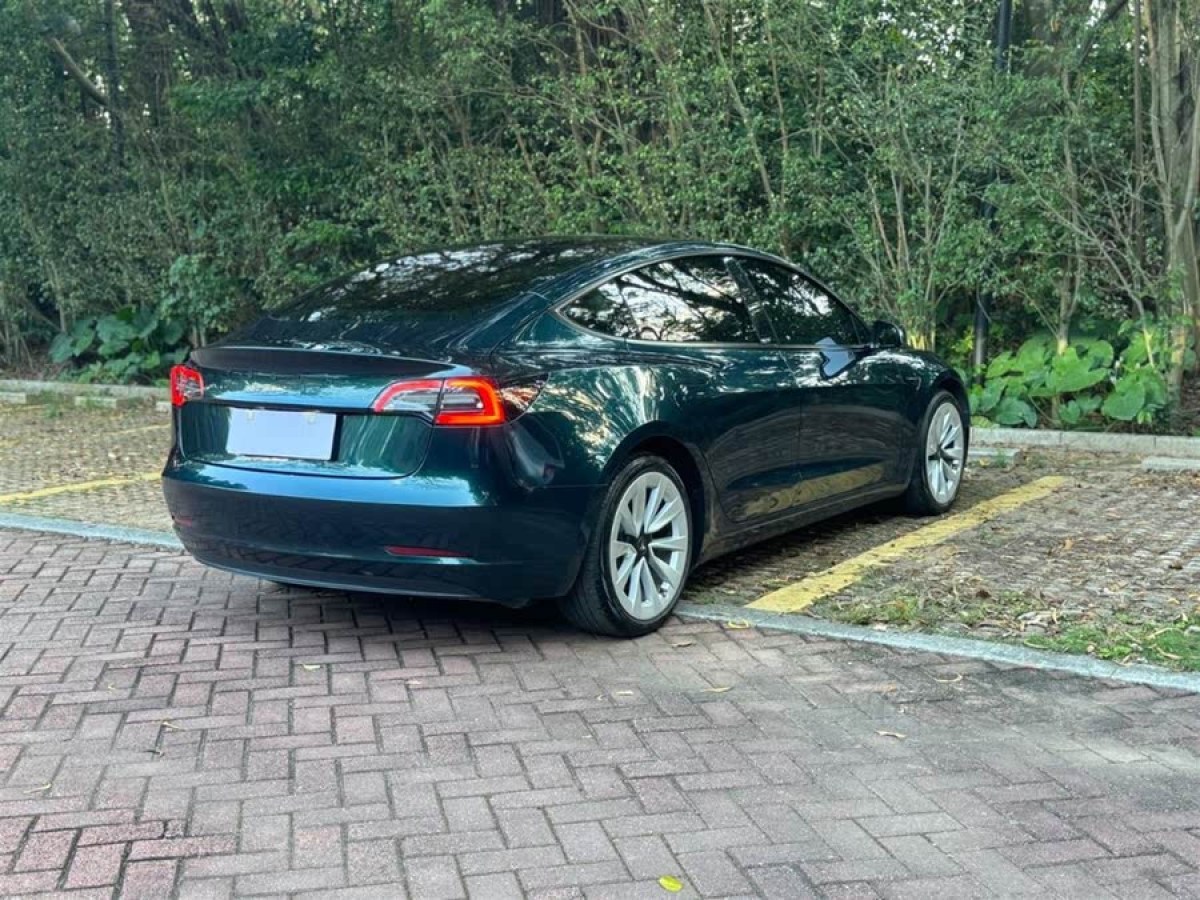 特斯拉 Model 3  2022款 后輪驅(qū)動(dòng)版圖片