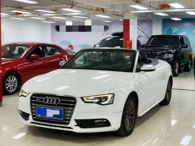 2014年4月 奧迪 奧迪A5(進口) Cabriolet 45 TFSI圖片